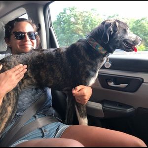 Meet your Posher, Sofia